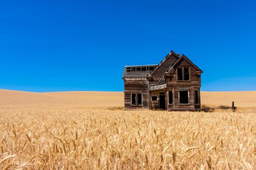 Abandoned House Wheat Field Ommay